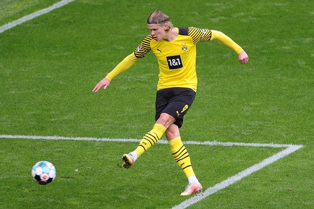 也发挥了关 也发挥了关